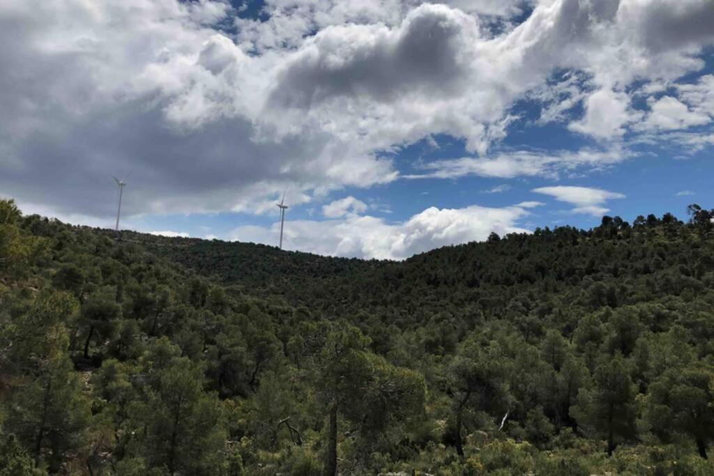 El Tranco Del Lobo Holiday home *